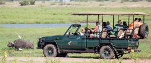 Chobe safari ldge actv Lekkerbly 1