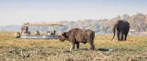 Chobe safari ldge actv Lekkerbly 10