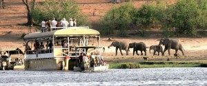 Chobe safari ldge actv Lekkerbly 8