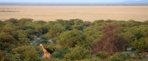 Etosha Lekkerbly 29