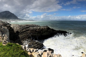 Hermanus Whale on Main Lekkerbly 1