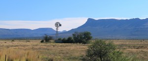 Karoo Lekkerbly 4