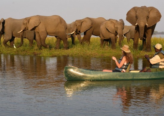 GS Lower Zambezi Lower Zambezi Canoeing STC