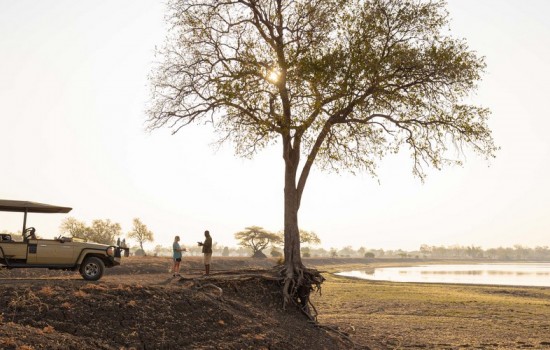 Shawa Luangwa Camp