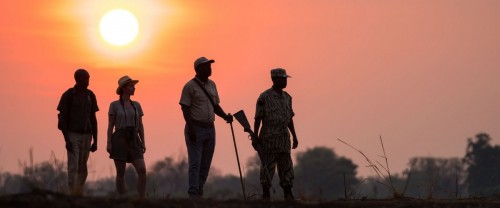 GS Shawa Luangwa Morning Walking Safari