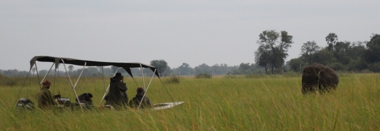 Lekkerbly Okavango Safari crp